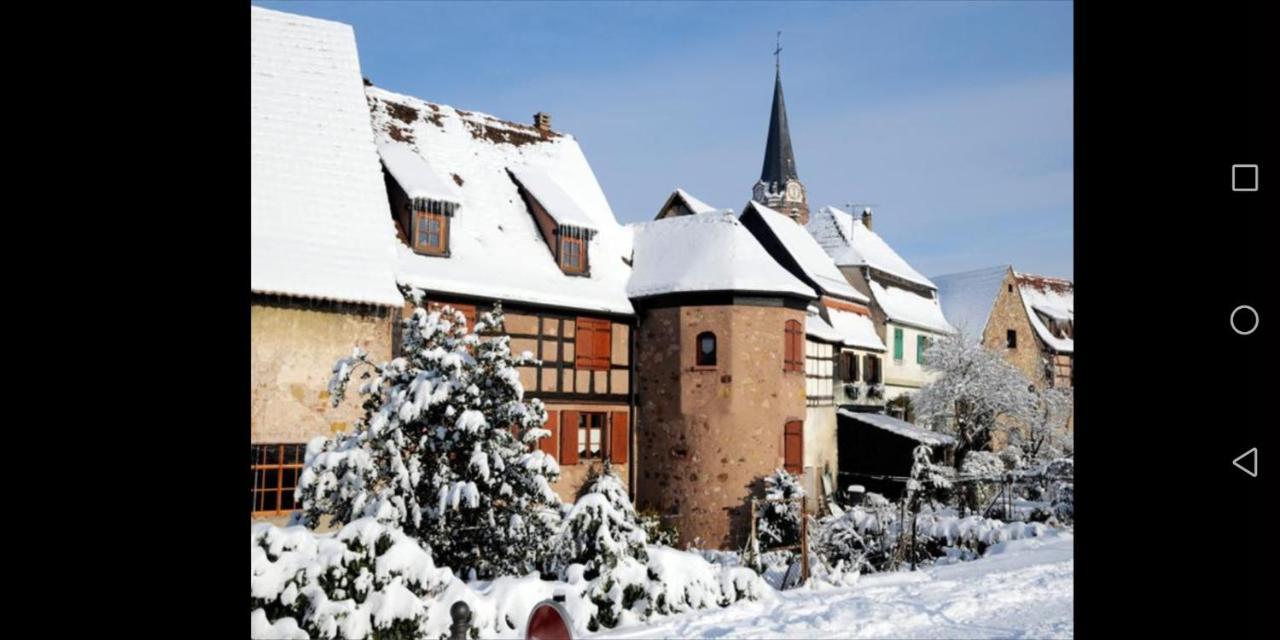Appartamento Cocon De Caractere Au Coeur Des Vignes Alsaciennes Bergheim Esterno foto