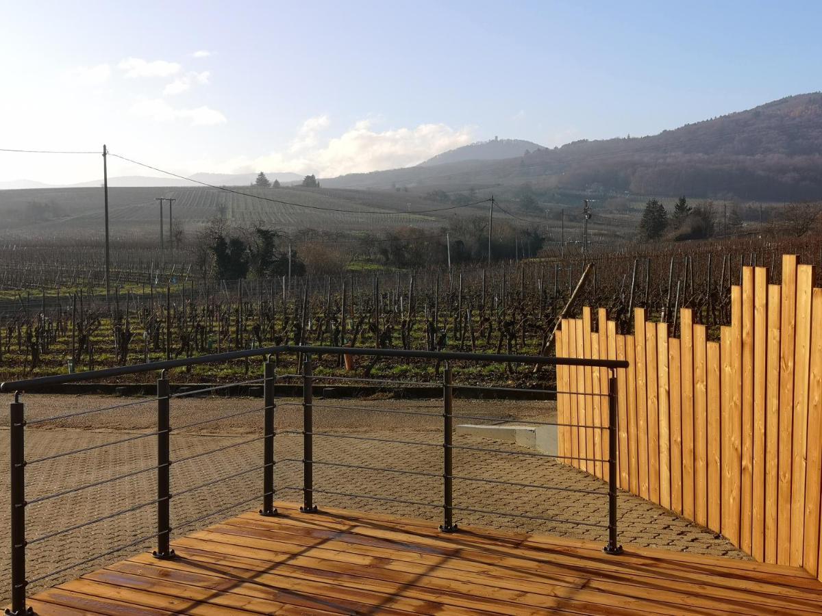 Appartamento Cocon De Caractere Au Coeur Des Vignes Alsaciennes Bergheim Esterno foto