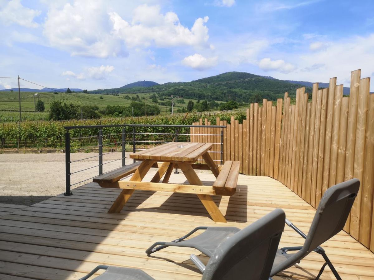 Appartamento Cocon De Caractere Au Coeur Des Vignes Alsaciennes Bergheim Esterno foto