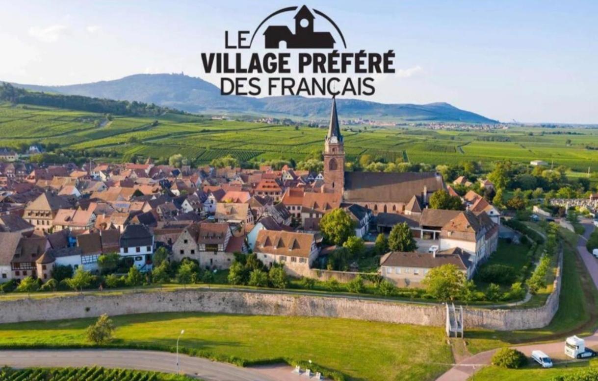 Appartamento Cocon De Caractere Au Coeur Des Vignes Alsaciennes Bergheim Esterno foto